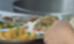 四人吃瓜视频免费观看,免费观看吃瓜视频盛宴